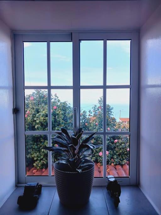 Achadas Da Cruz Farm House Zewnętrze zdjęcie